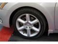 Liquid Silver Metallic - Maxima 3.5 SE Photo No. 66