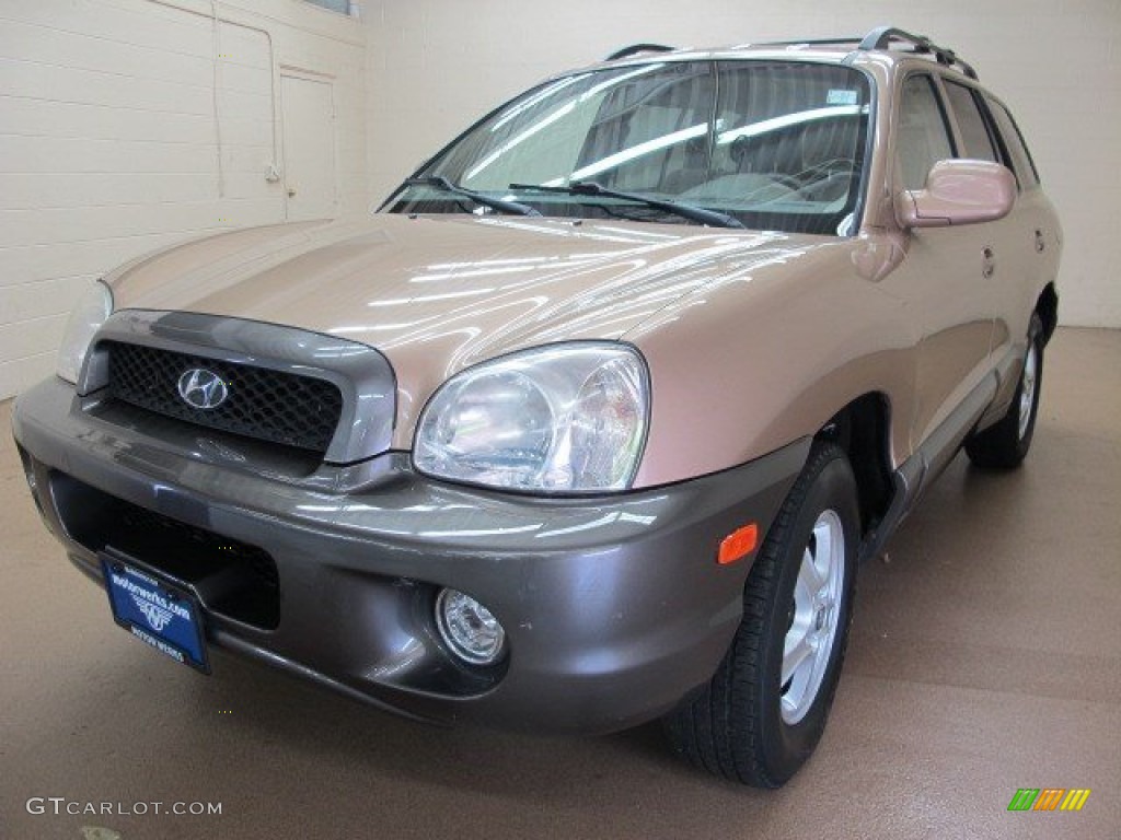 2004 Santa Fe GLS 4WD - Sandstone / Beige photo #3
