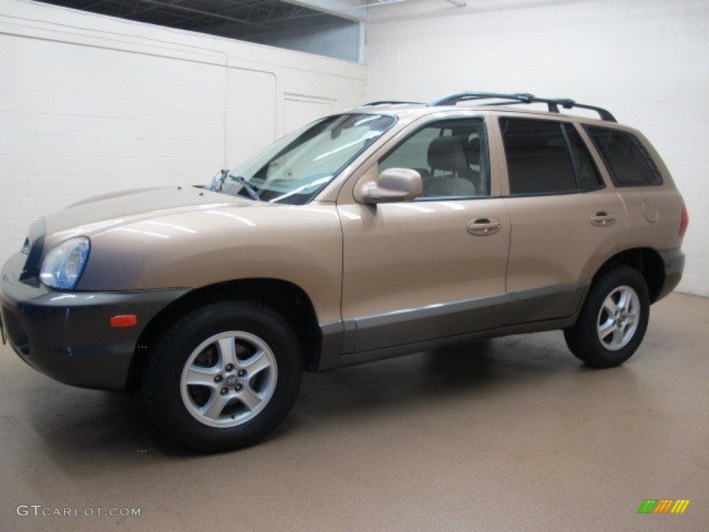 Sandstone 2004 Hyundai Santa Fe GLS 4WD Exterior Photo #96216656