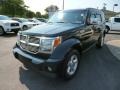 Brilliant Black Crystal Pearl - Nitro SLT 4x4 Photo No. 3
