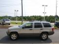 Silverstone Metallic - Grand Cherokee Laredo 4x4 Photo No. 5