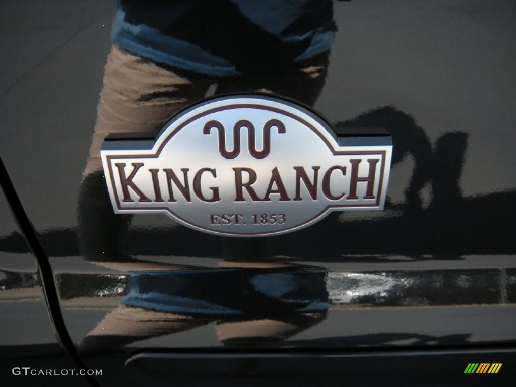 2015 F250 Super Duty King Ranch Crew Cab 4x4 - Tuxedo Black / King Ranch Mesa Antique Affect/Black photo #15