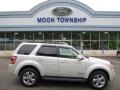 2008 Light Sage Metallic Ford Escape Limited  photo #1