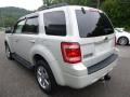 2008 Light Sage Metallic Ford Escape Limited  photo #4