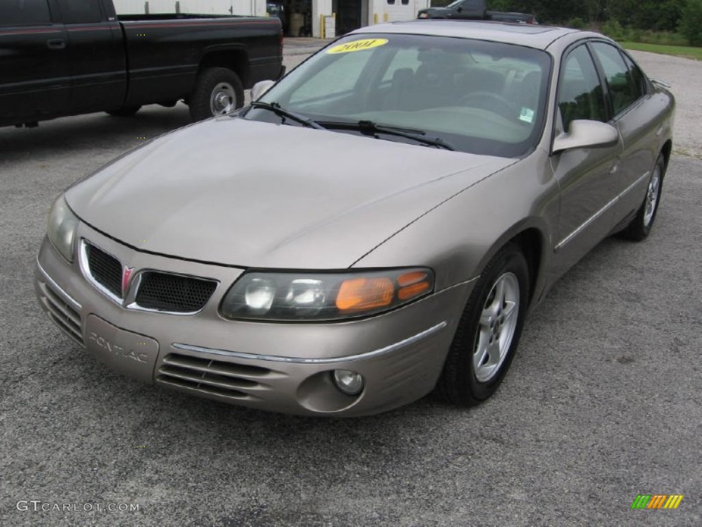 2001 Bonneville SE - Light Bronzemist Metallic / Taupe photo #2