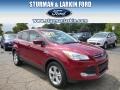 2014 Ruby Red Ford Escape SE 1.6L EcoBoost 4WD  photo #1