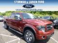 Sunset 2014 Ford F150 Gallery