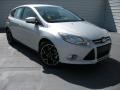 2014 Ingot Silver Ford Focus SE Hatchback  photo #1