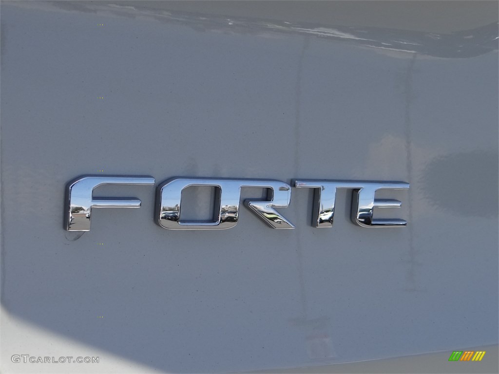 2015 Forte LX - Desert Sand / Gray Two Tone photo #9