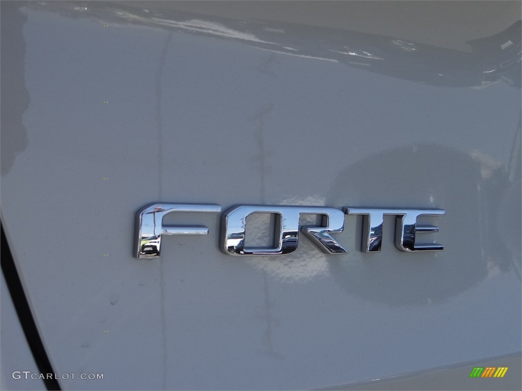 2015 Forte LX - Desert Sand / Gray Two Tone photo #8