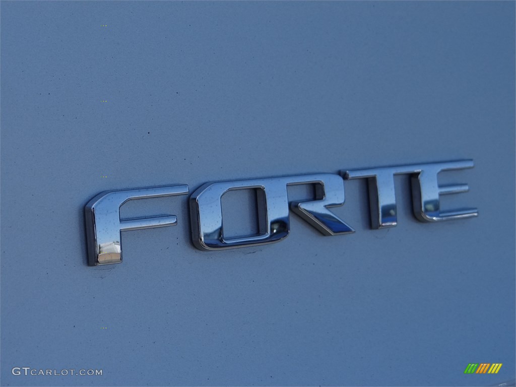 2015 Forte LX - Bright Silver / Gray Two Tone photo #8