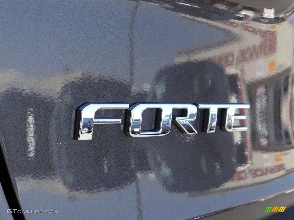 2015 Forte LX - Desert Sand / Black photo #7