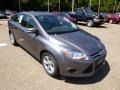 Sterling Gray - Focus SE Sedan Photo No. 2