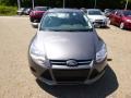 Sterling Gray - Focus SE Sedan Photo No. 3