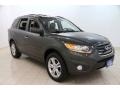 2010 Black Forest Green Metallic Hyundai Santa Fe Limited 4WD  photo #1