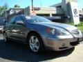 2006 Lakeshore Silver Metallic Acura RL 3.5 AWD Sedan  photo #1