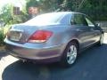 2006 Lakeshore Silver Metallic Acura RL 3.5 AWD Sedan  photo #5