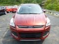 2014 Sunset Ford Escape Titanium 1.6L EcoBoost 4WD  photo #6