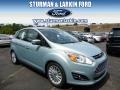 Ice Storm 2014 Ford C-Max Hybrid SEL