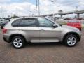 2007 Platinum Bronze Metallic BMW X5 3.0si  photo #14