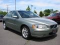 Willow Green Metallic - S60 2.5T AWD Photo No. 6