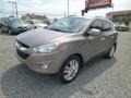 2012 Chai Bronze Hyundai Tucson Limited AWD  photo #3