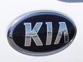 2015 Kia Soul Standard Soul Model Badge and Logo Photo