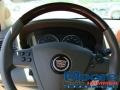 Blue Chip - CTS Sedan Photo No. 18