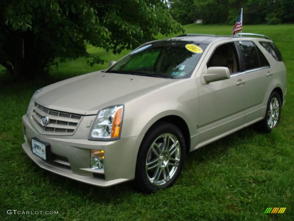 2007 SRX 4 V6 AWD - Gold Mist / Cashmere photo #1