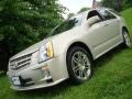 2007 Gold Mist Cadillac SRX 4 V6 AWD  photo #2