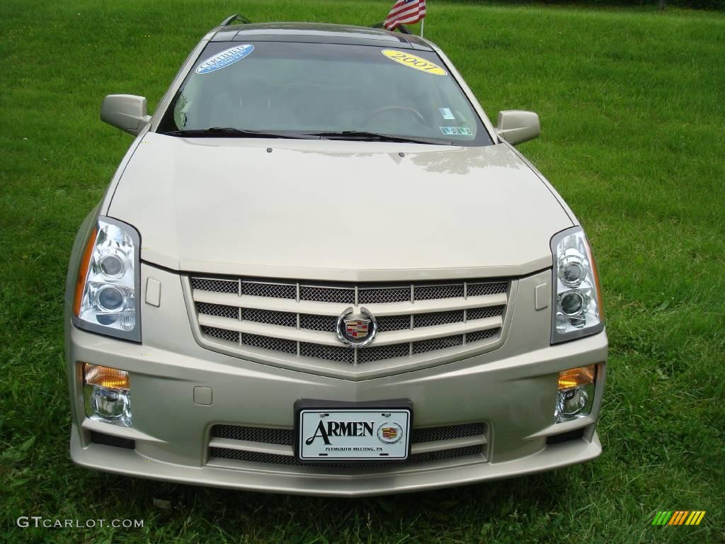 2007 SRX 4 V6 AWD - Gold Mist / Cashmere photo #3