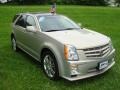 2007 Gold Mist Cadillac SRX 4 V6 AWD  photo #4
