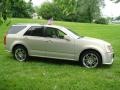 2007 Gold Mist Cadillac SRX 4 V6 AWD  photo #5
