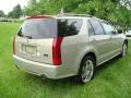 2007 Gold Mist Cadillac SRX 4 V6 AWD  photo #6