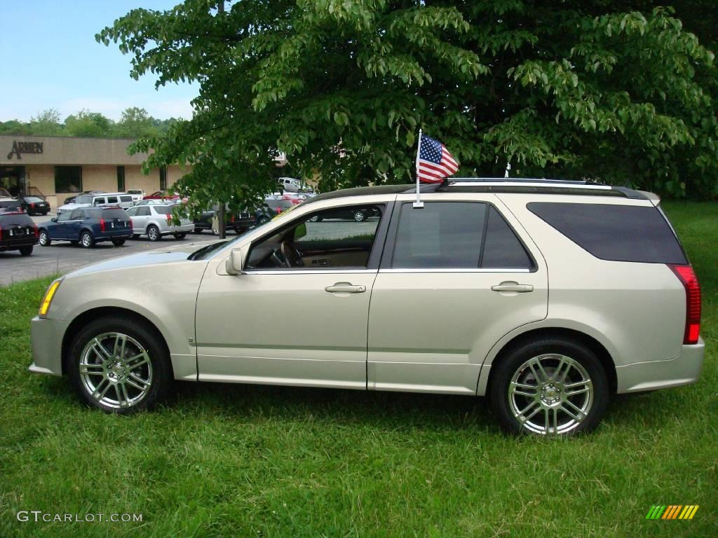 2007 SRX 4 V6 AWD - Gold Mist / Cashmere photo #9