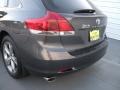 Magnetic Gray Metallic - Venza XLE Photo No. 21