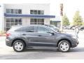 Graphite Luster Metallic - RDX Technology Photo No. 7