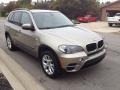 Platinum Bronze Metallic - X5 xDrive 35i Photo No. 2