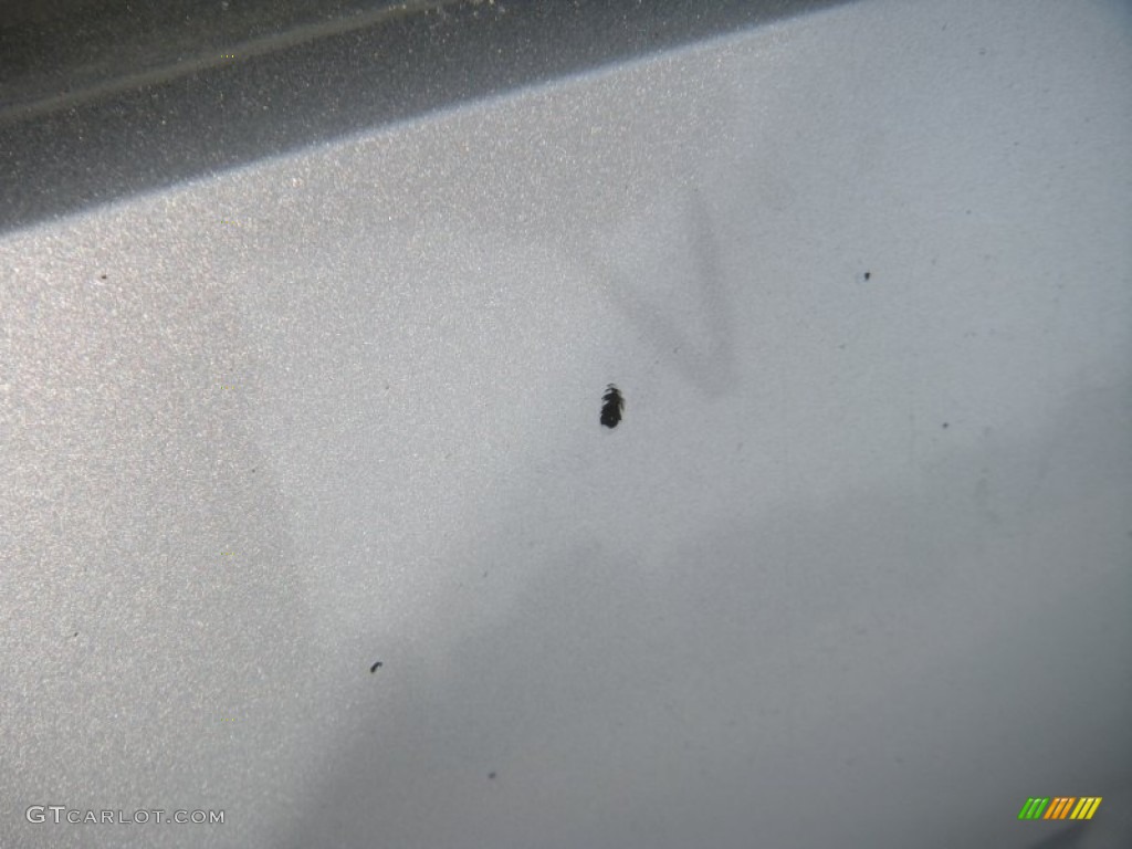 2008 350Z Touring Coupe - Silver Alloy / Burnt Orange photo #31