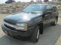 2002 Onyx Black Chevrolet TrailBlazer LT 4x4  photo #2