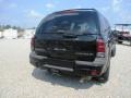 2002 Onyx Black Chevrolet TrailBlazer LT 4x4  photo #26