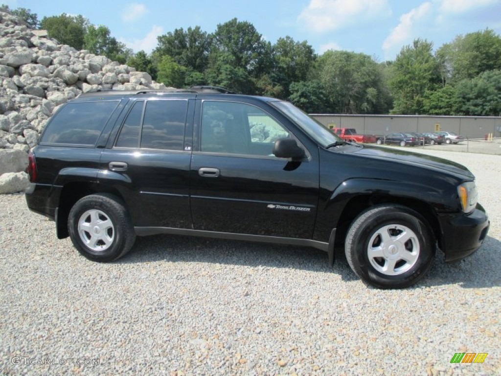 2002 TrailBlazer LT 4x4 - Onyx Black / Dark Pewter photo #30