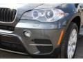 2012 Platinum Gray Metallic BMW X5 xDrive35i Premium  photo #31