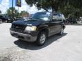 2002 Black Clearcoat Ford Explorer Sport  photo #7