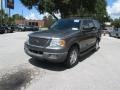 2005 Dark Shadow Grey Metallic Ford Expedition XLT  photo #7