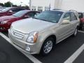 Gold Mist - SRX 4 V6 AWD Photo No. 3