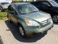 2007 Green Tea Metallic Honda CR-V EX 4WD  photo #1