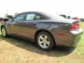 2014 Granite Crystal Metallic Dodge Charger SE  photo #2