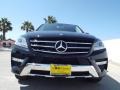 Black - ML 350 Photo No. 2