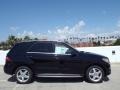 Black - ML 350 Photo No. 3